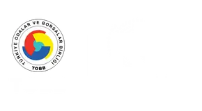 TOBB | Yedi Mavi